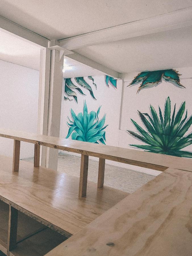Hostel Casa Maguey Oaxaca Zewnętrze zdjęcie
