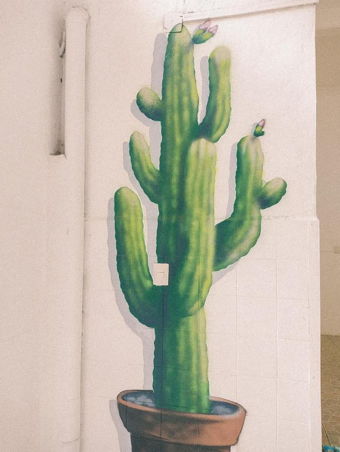 Hostel Casa Maguey Oaxaca Zewnętrze zdjęcie