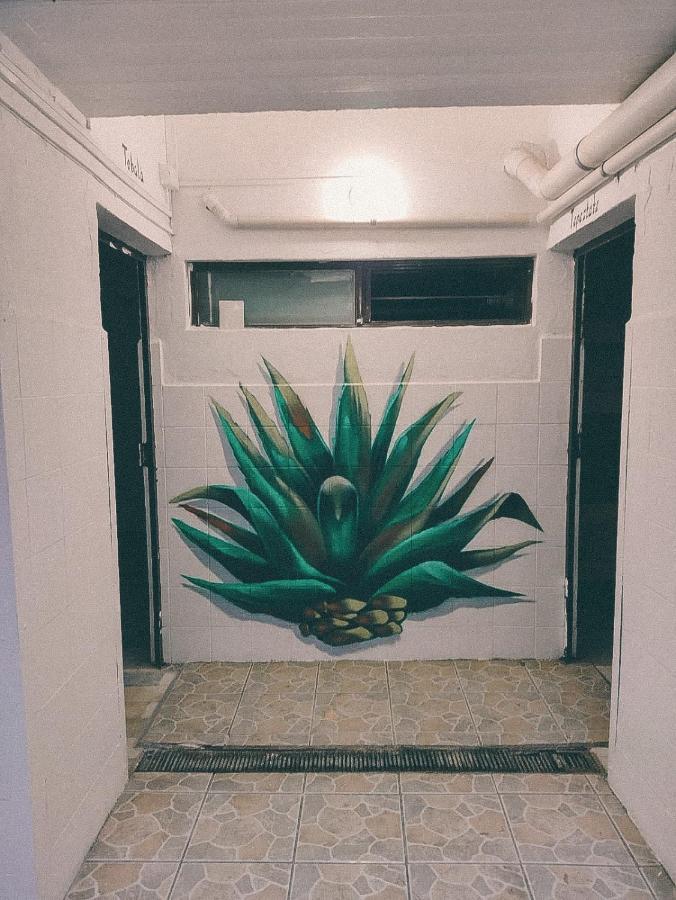 Hostel Casa Maguey Oaxaca Zewnętrze zdjęcie