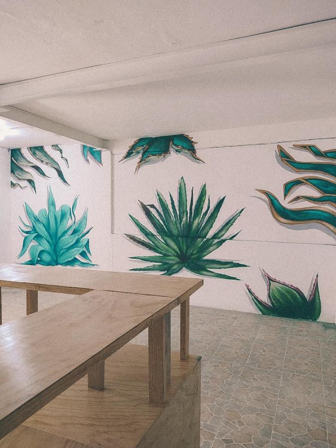 Hostel Casa Maguey Oaxaca Zewnętrze zdjęcie