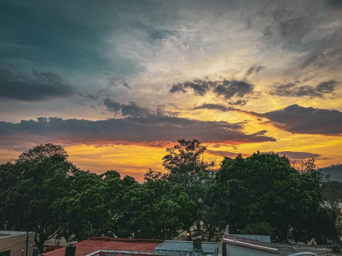Hostel Casa Maguey Oaxaca Zewnętrze zdjęcie