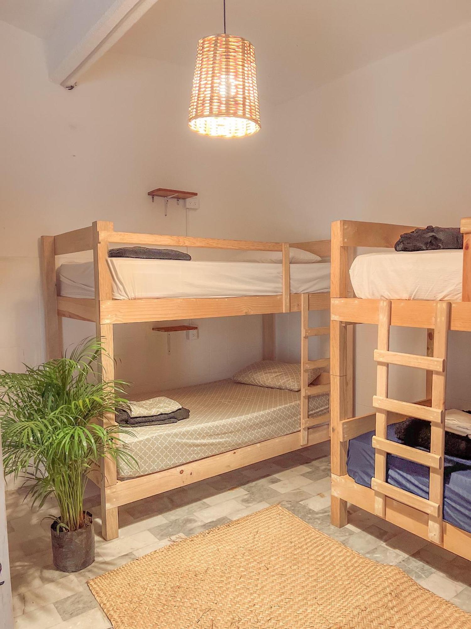 Hostel Casa Maguey Oaxaca Zewnętrze zdjęcie