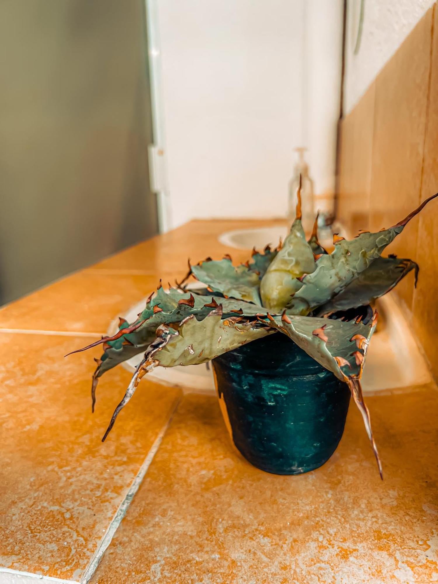 Hostel Casa Maguey Oaxaca Zewnętrze zdjęcie